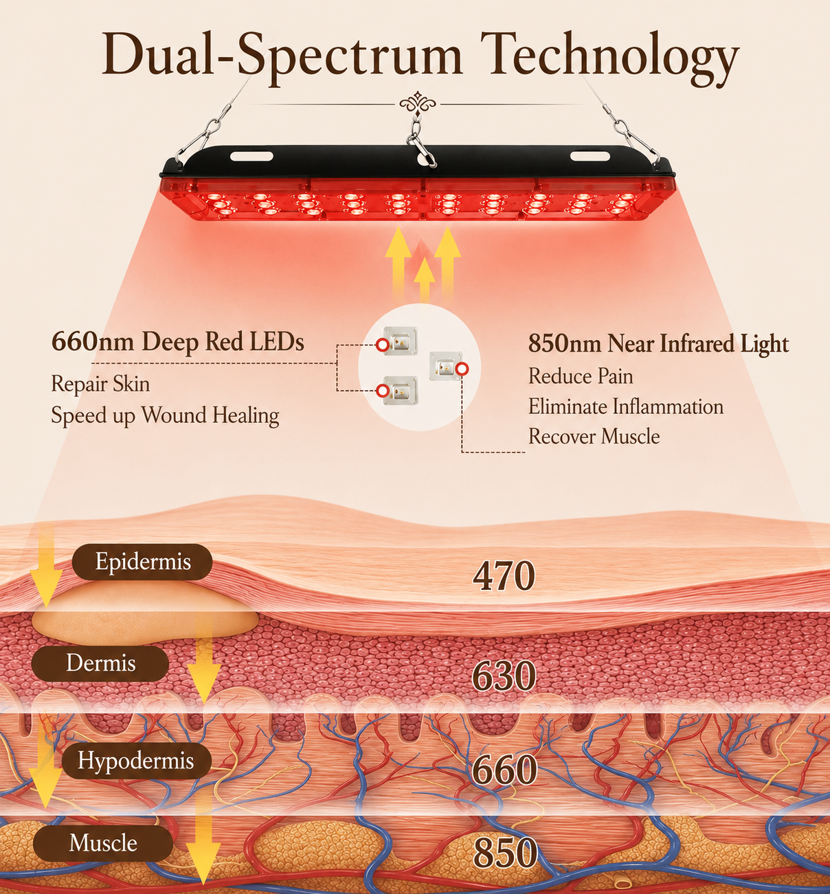 ELITE INFRARED BODY MAT