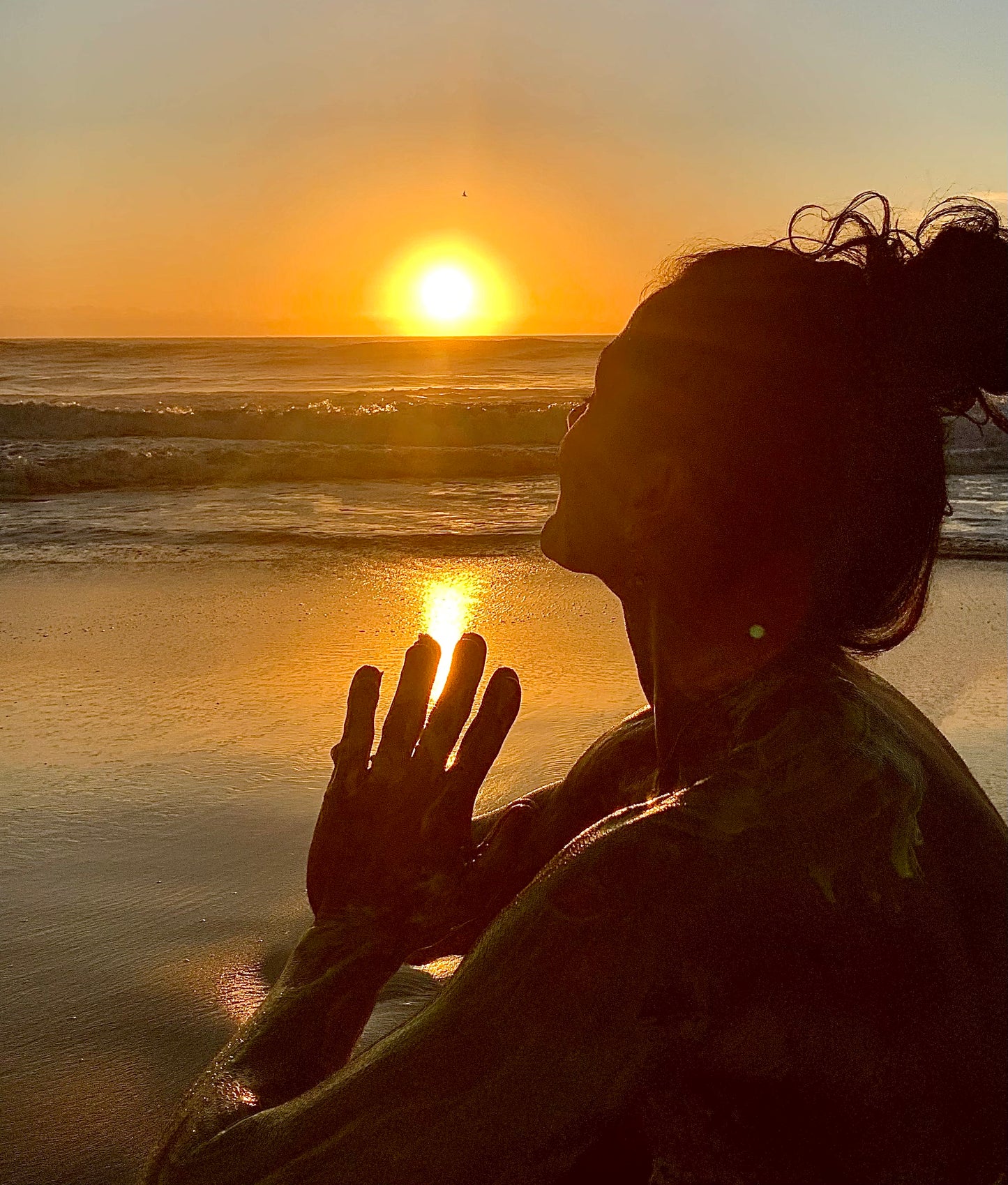 BODY OIL ☀️   SUNSHINE IN A BOTTLE BUNDLE